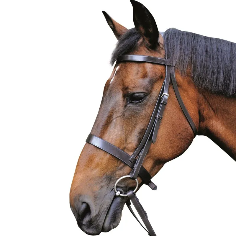 Mark Todd Hunter Bridle - Black
