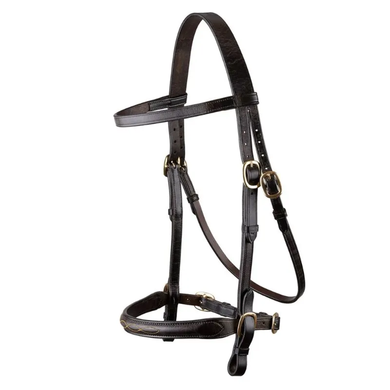 EcoRider Classic Inhand Bridle - Brown