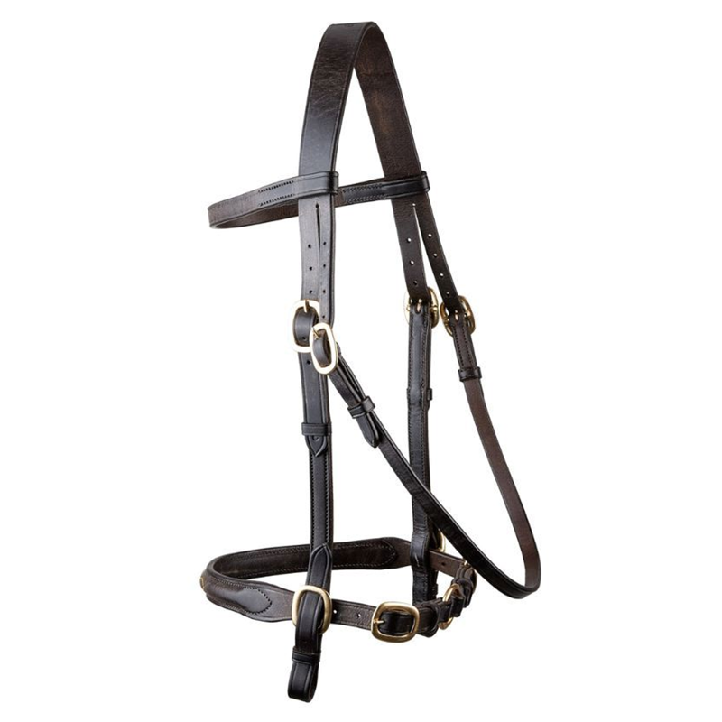 EcoRider Classic Inhand Bridle - Brown-1