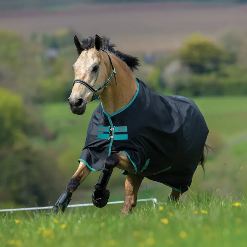 Amigo Hero 900 Fleece Lined 50g Turnout Rug - Black/Teal/Dark Cherry