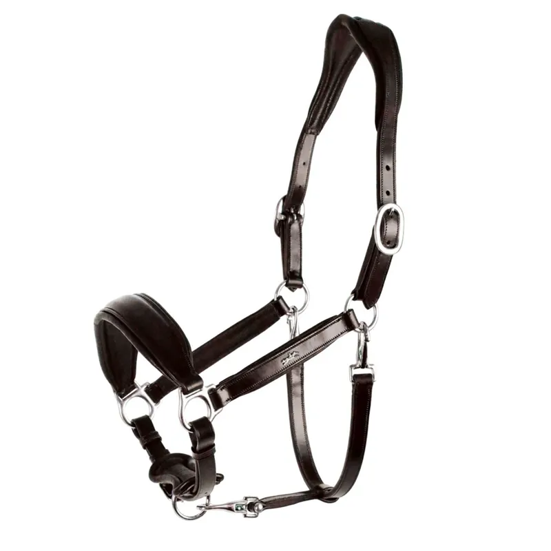 Schockemohle Fremont Leather Anatomical Headcollar - Espresso/SIlver