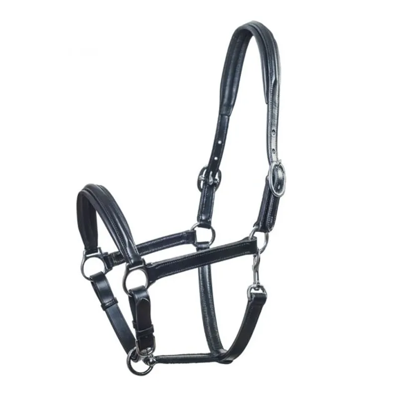 Schockemohle Ulm Leather Headcollar - Black/Silver