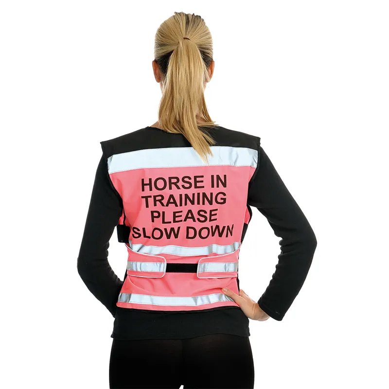 Equisafety Air Waistcoat Horse In Training Please - Pink