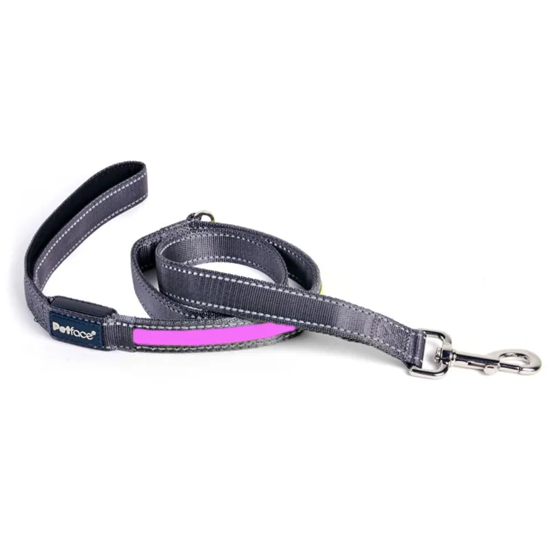Petface Reflective Flashing Lead - Pink