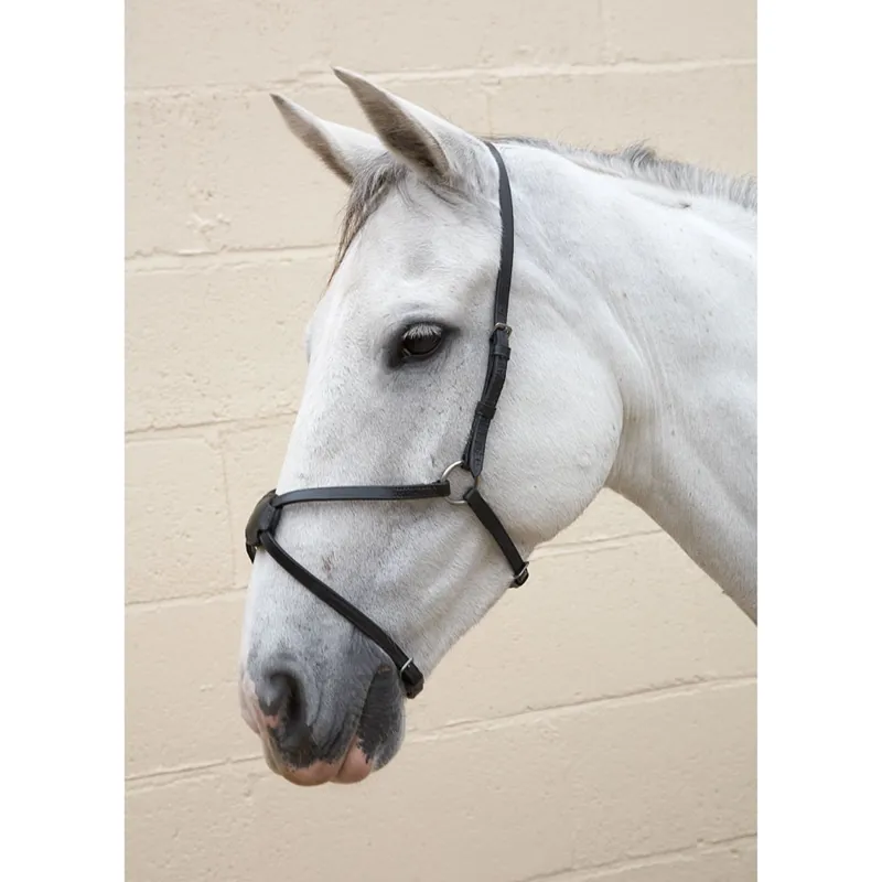 Hy Equestrian Mexican Grackle Nose Band - Black