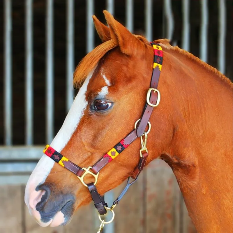 Chukka Newmarket Headcollar - Black/Red/Yellow