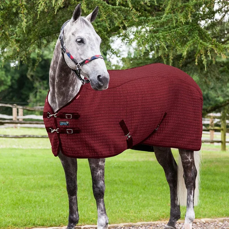 LeMieux Thermo-Cool Rug - Burgundy