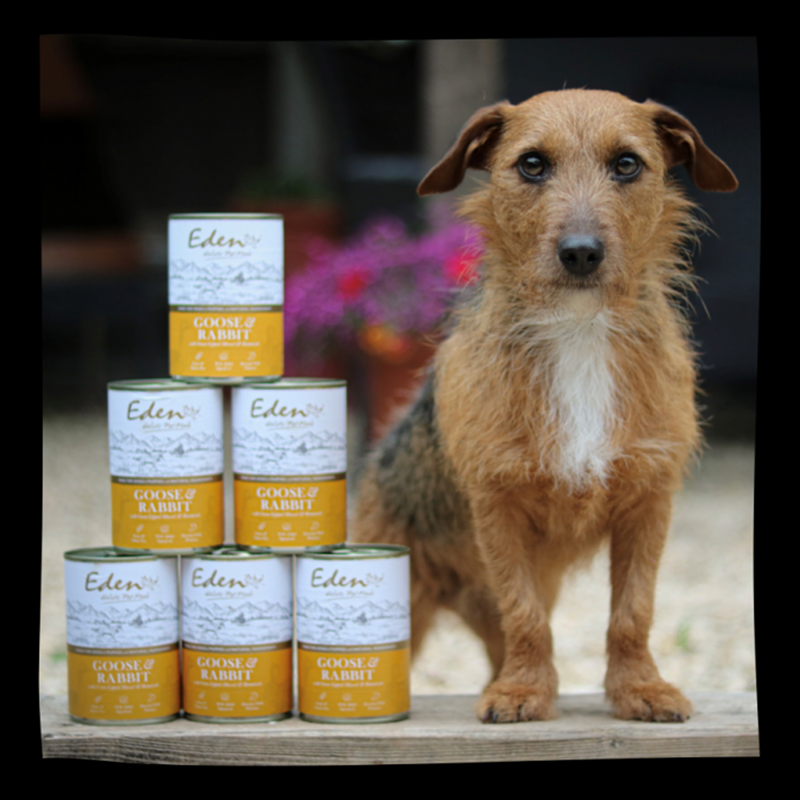 Eden Gourmet Wet Food for Dogs Goose and Rabbit 400g-1