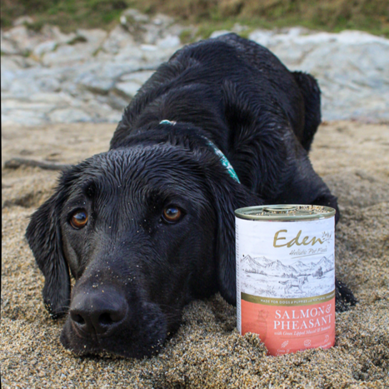 Eden Gourmet Wet Food for Dogs Salmon and Pheasant 400g-1