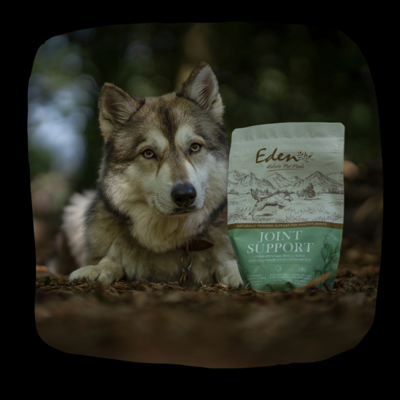 Eden Joint Support - 500g-3