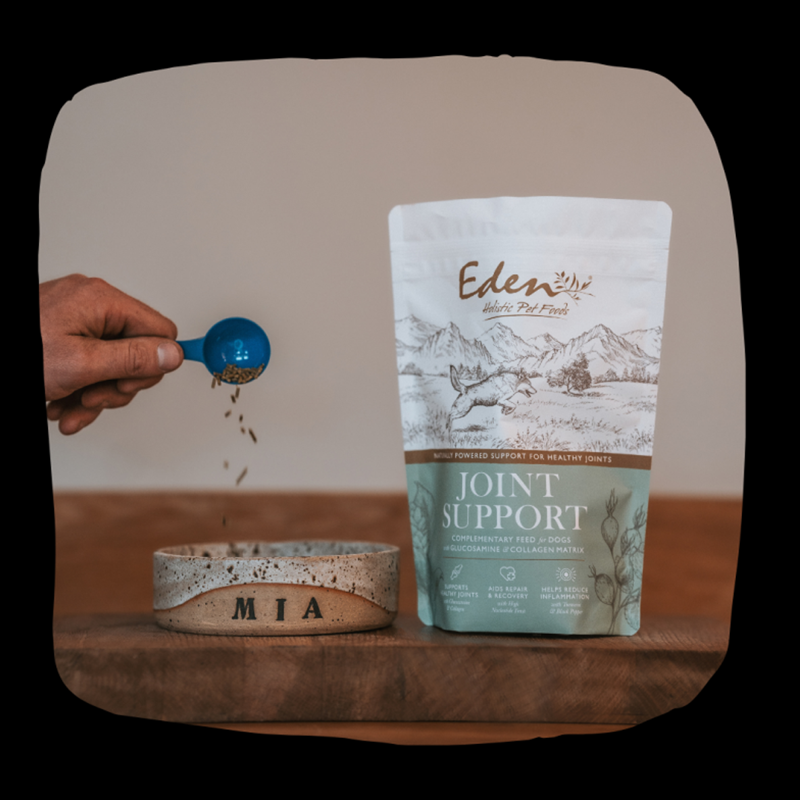 Eden Joint Support - 500g-2