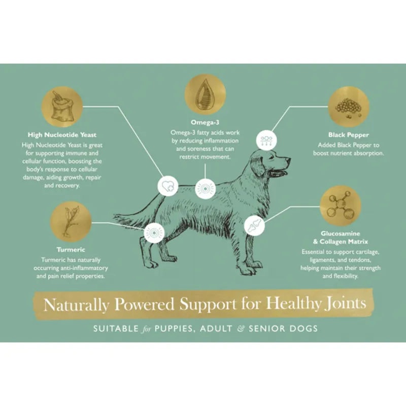 Eden Joint Support - 500g-4