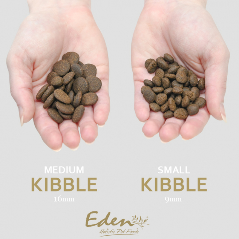 Eden Fish Cuisine Medium Kibble Dog Food - 6kg-2