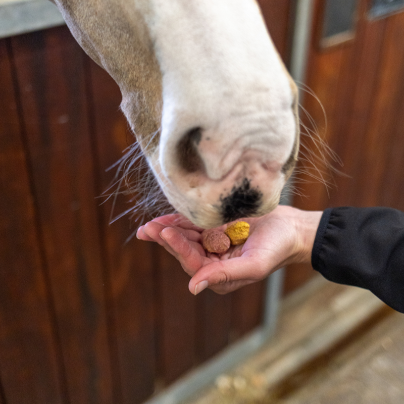 Equilibrium Crunchits Fruit Fusion - 750g-2