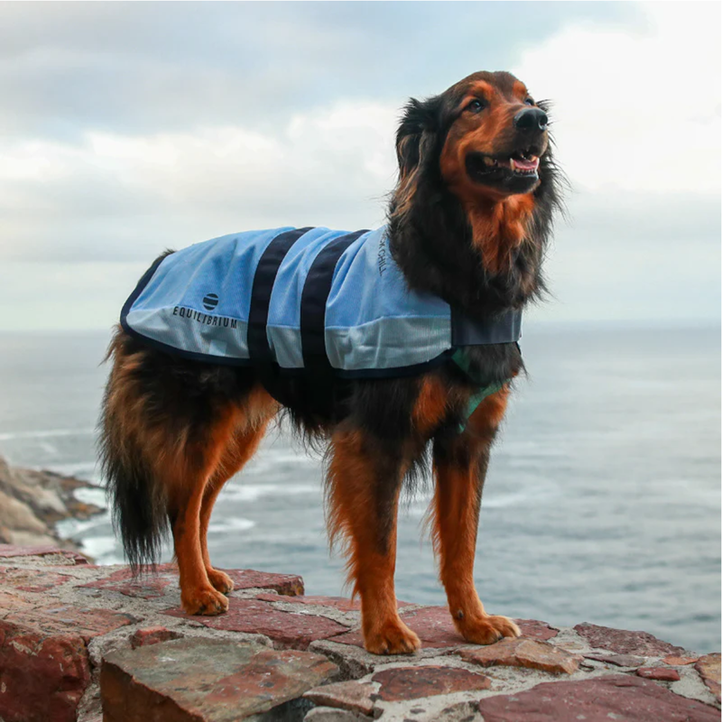 Equilibrium Quick Chill Dog Coat-3