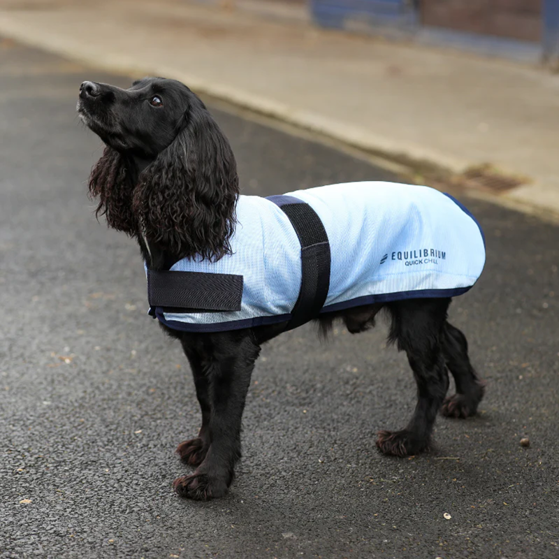 Equilibrium Quick Chill Dog Coat-2