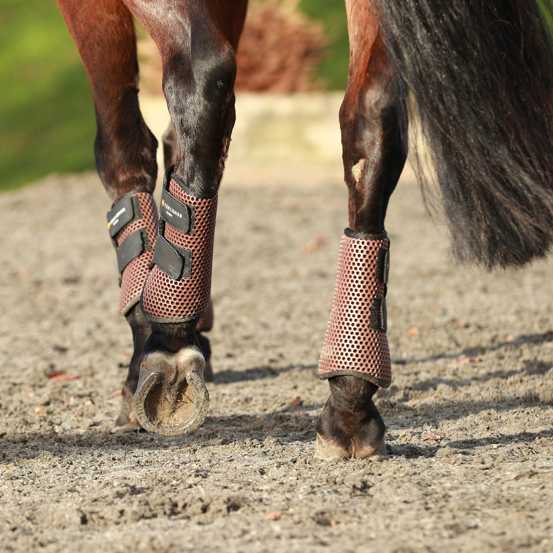 Equilibrium Tri-Zone All Sports Boots - Brown-1