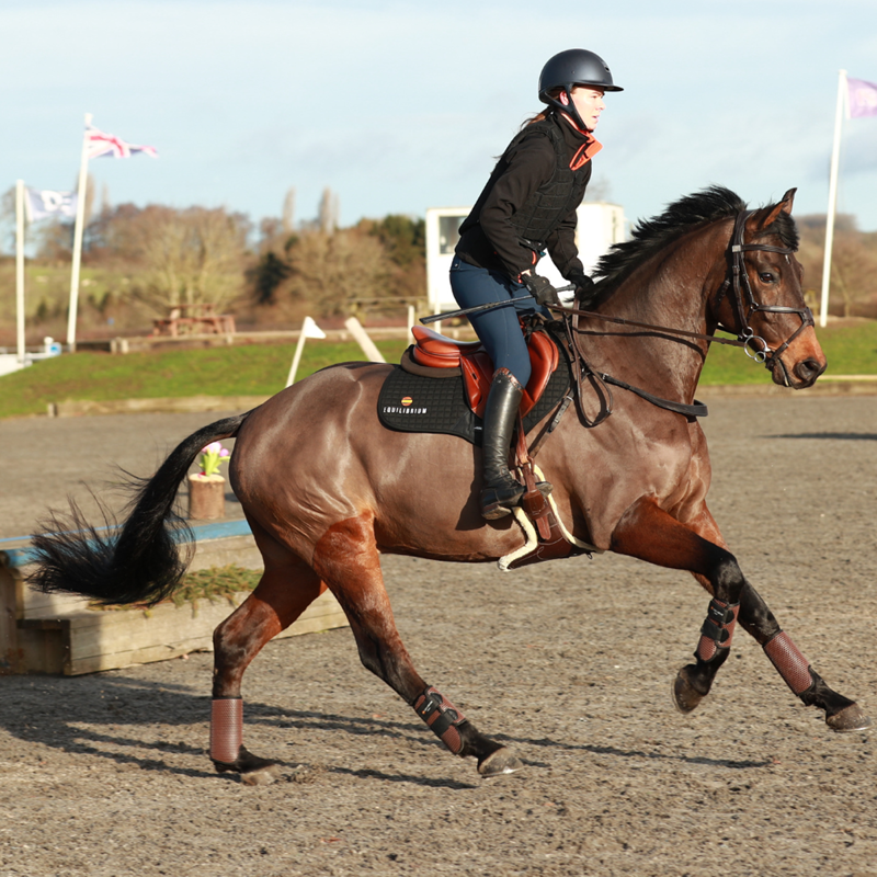 Equilibrium Tri-Zone All Sports Boots - Brown-5
