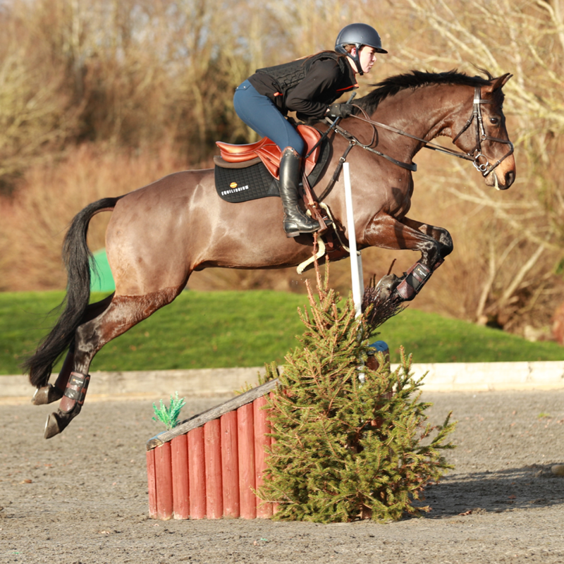 Equilibrium Tri-Zone All Sports Boots - Brown-4