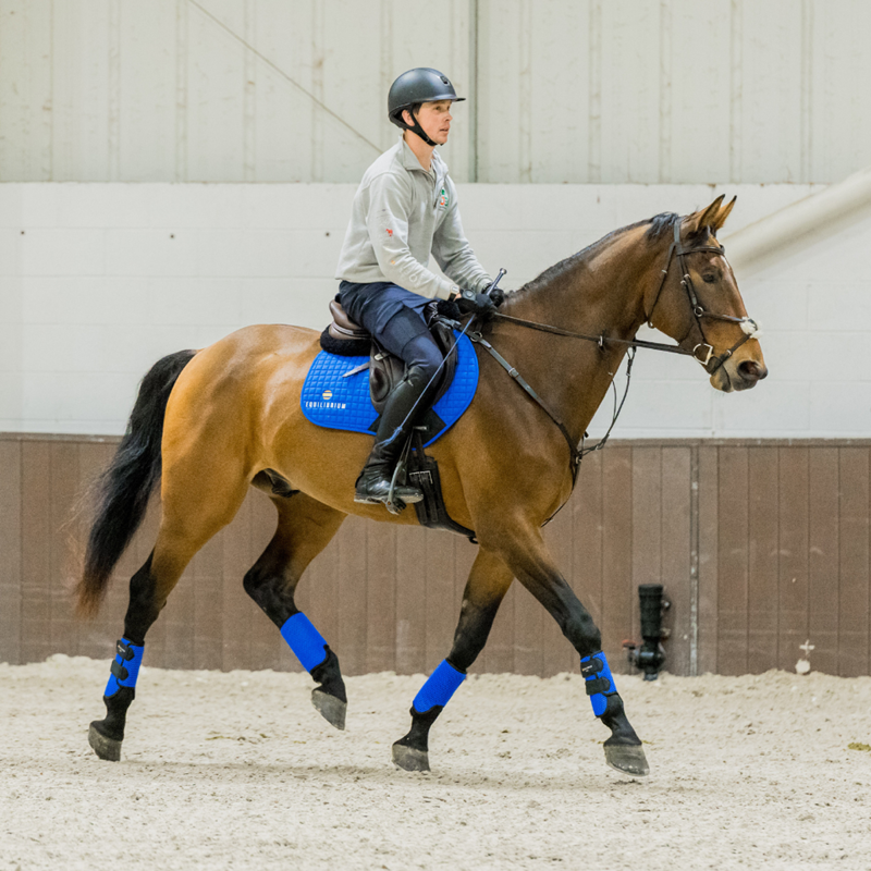 Equilibrium Tri-Zone All Sports Boots - Royal Blue-5