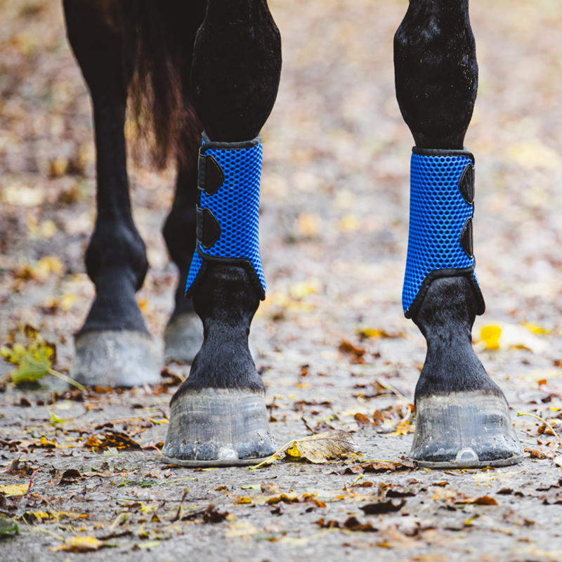 Equilibrium Tri-Zone All Sports Boots - Royal Blue-2