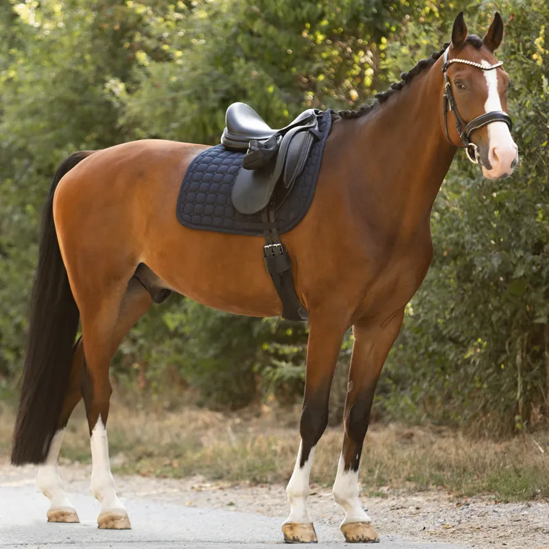 Eskadron Cotton Molton Saddlecloth - Night Blue-1