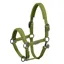 Eskadron Double Pin Faux Leather Headcollar Platinum AW24 - Moss Green