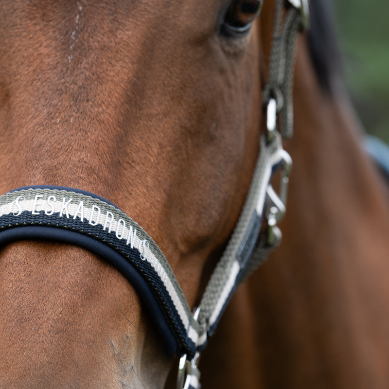 Eskadron Double Pin Headcollar Classic Sports SS25 - Navy/Greige/Dusty Olive-1