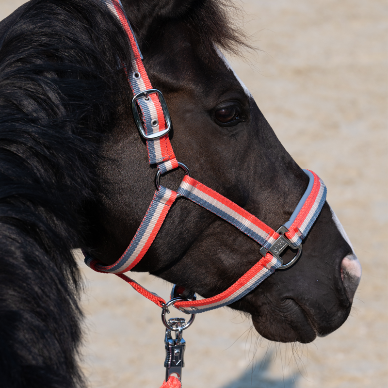 Eskadron Double Pin Headcollar Classic Sports SS25 - Steel Blue/Greige/Coral Blossom-1