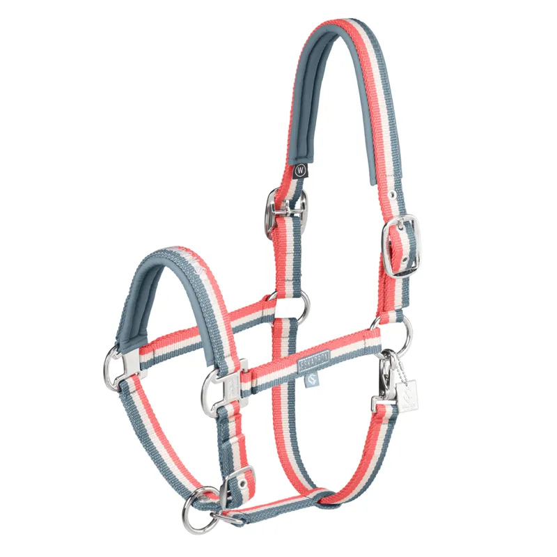Eskadron Double Pin Headcollar Classic Sports SS25 - Steel Blue/Greige/Coral Blossom