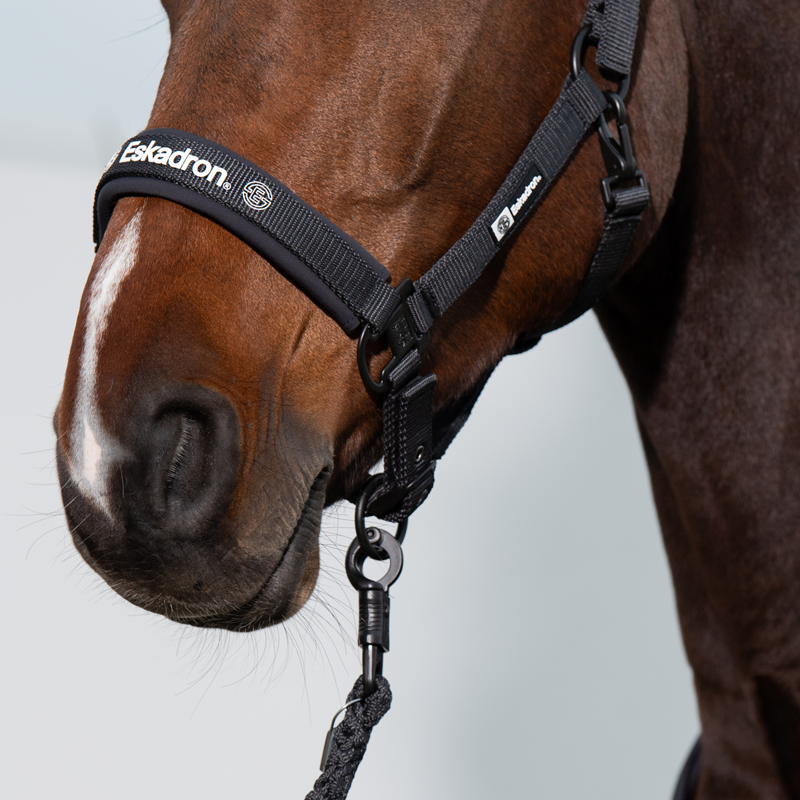 Eskadron Double Pin Headcollar Dynamic SS24 - Black-3