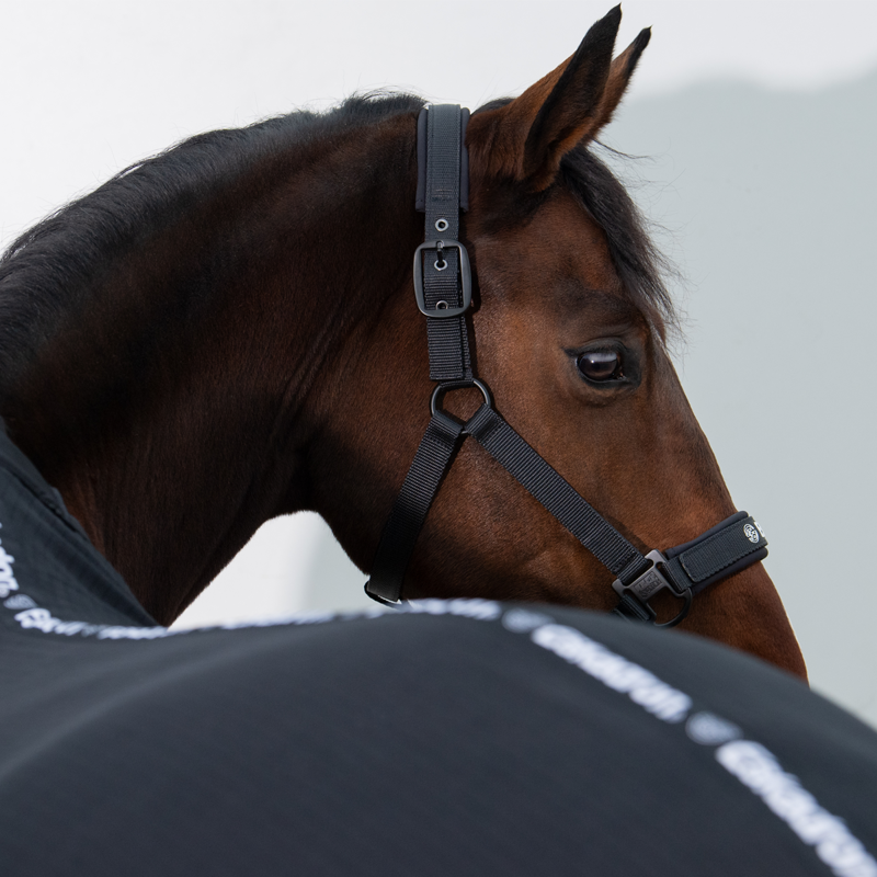 Eskadron Double Pin Headcollar Dynamic SS24 - Black-2