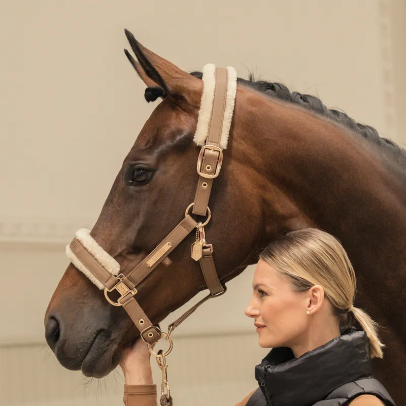 Eskadron Faux Leather Double Pin Headcollar Heritage AW24 - Almond-1