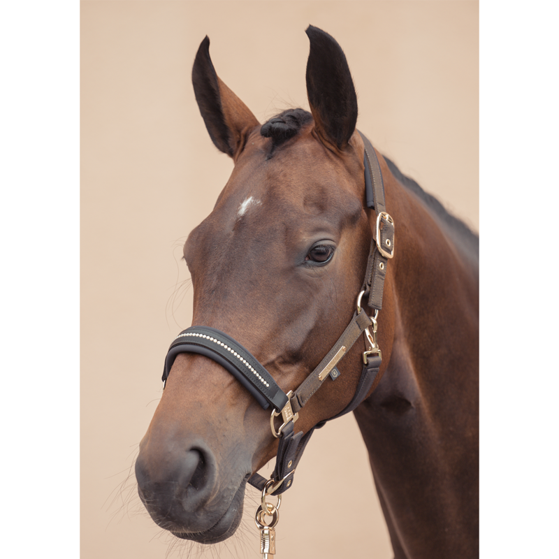 Eskadron Glam Crystal Double Pin Headcollar Heritage AW24 - Black-1