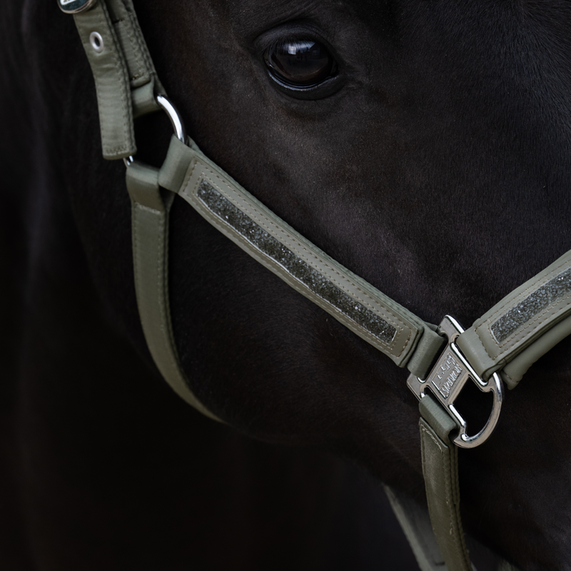 Eskadron Matt Gloss Jewel Double Pin Headcollar Classic Sports SS25 - Dusty Olive-1