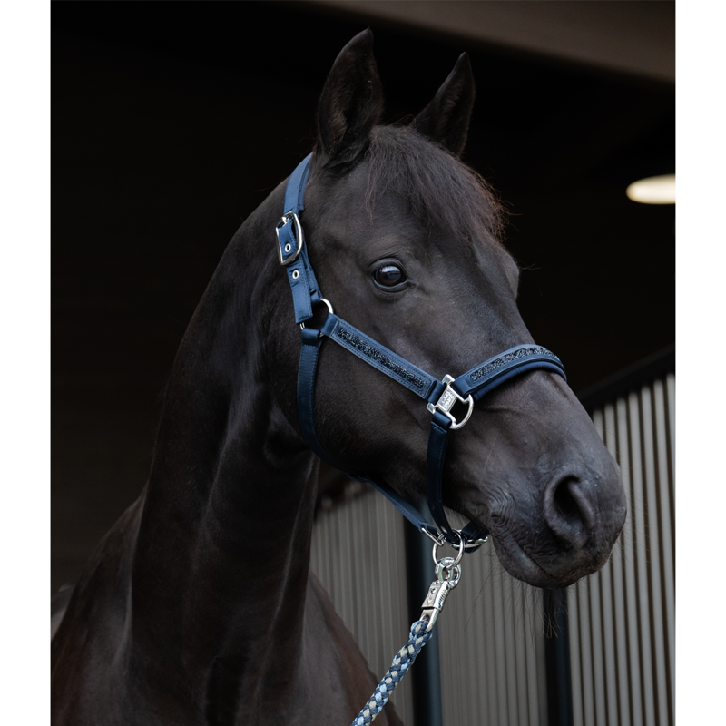 Eskadron Matt Gloss Jewel Double Pin Headcollar Classic Sports SS25 - Navy-1