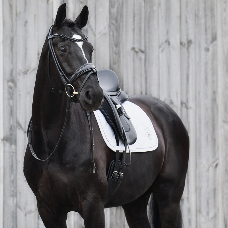 Eskadron Softshell Emblem Saddlecloth Platinum AW24 - White-2