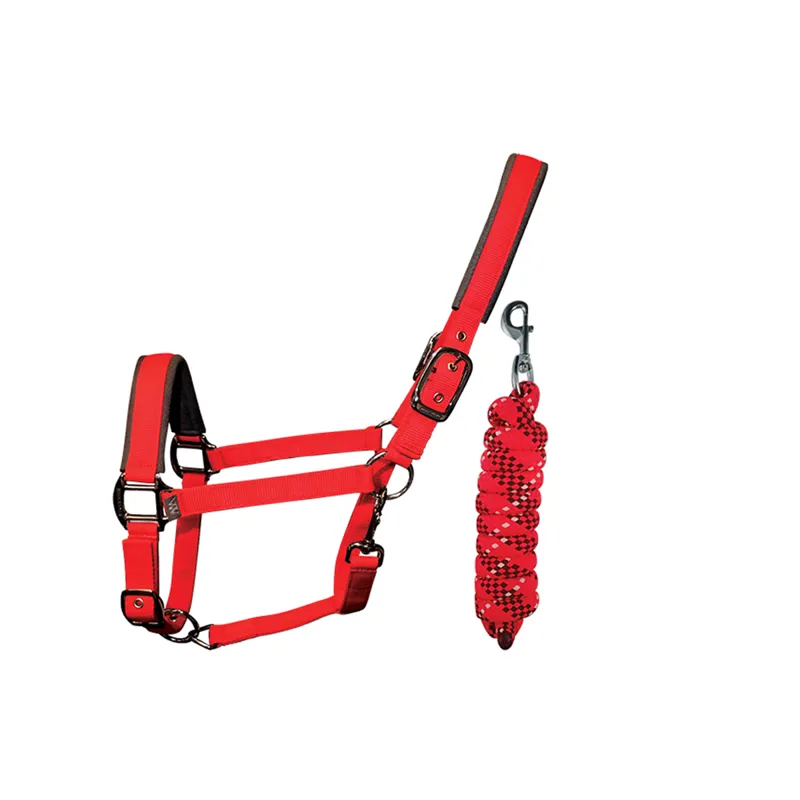 Woof Wear Headcollar and Leadrope - Royal Red
