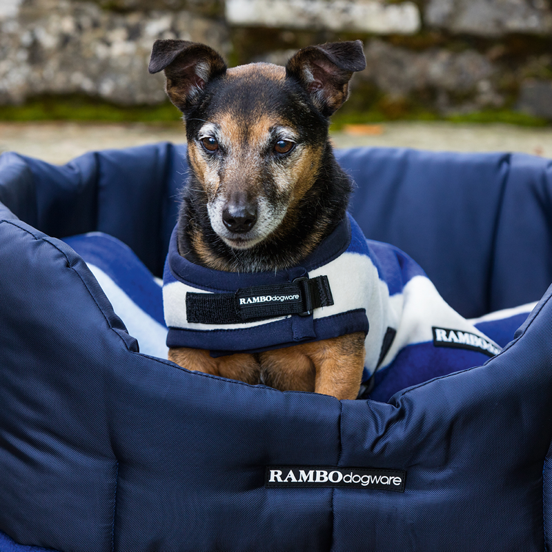 Horseware Rambo Deluxe Dog Rug Coat - Witney Navy-1