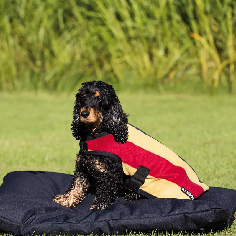 Horseware Rambo Deluxe Dog Rug Coat - Witney Gold