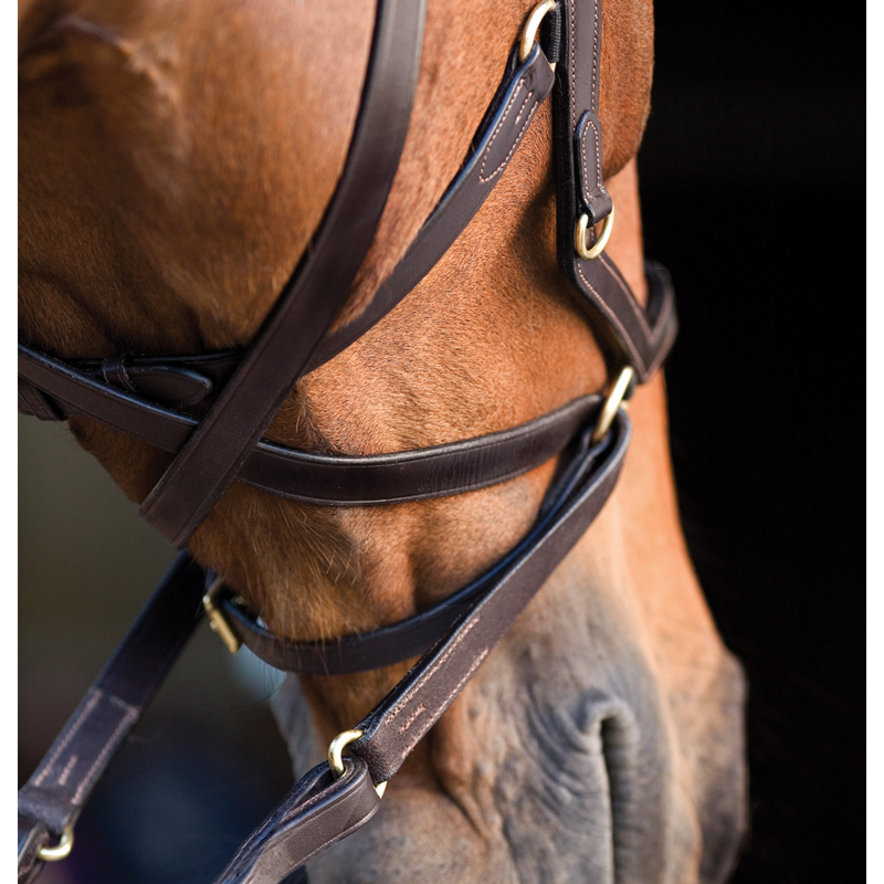 Horseware Rambo Micklem Multi Bridle - Black-1