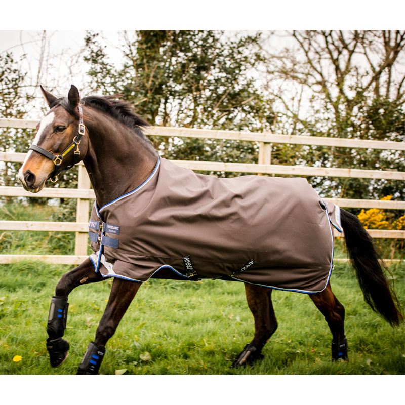 Amigo Bravo 12 Lite Pony Turnout Rug - Excal/Strong Blue/Black-1