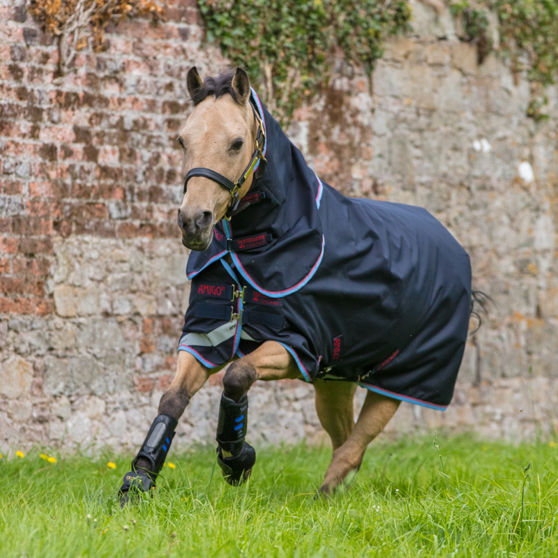 Amigo Bravo 12 Pony Plus Lite Turnout Rug - Navy/Red/Blue