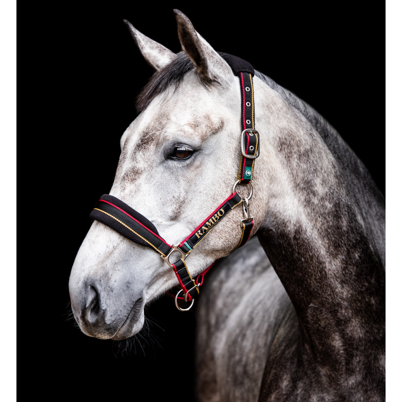 Horseware Rambo Padded Headcollar - Whitney Gold-1