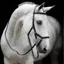 Horseware Rambo Micklem Competition Bridle - Black
