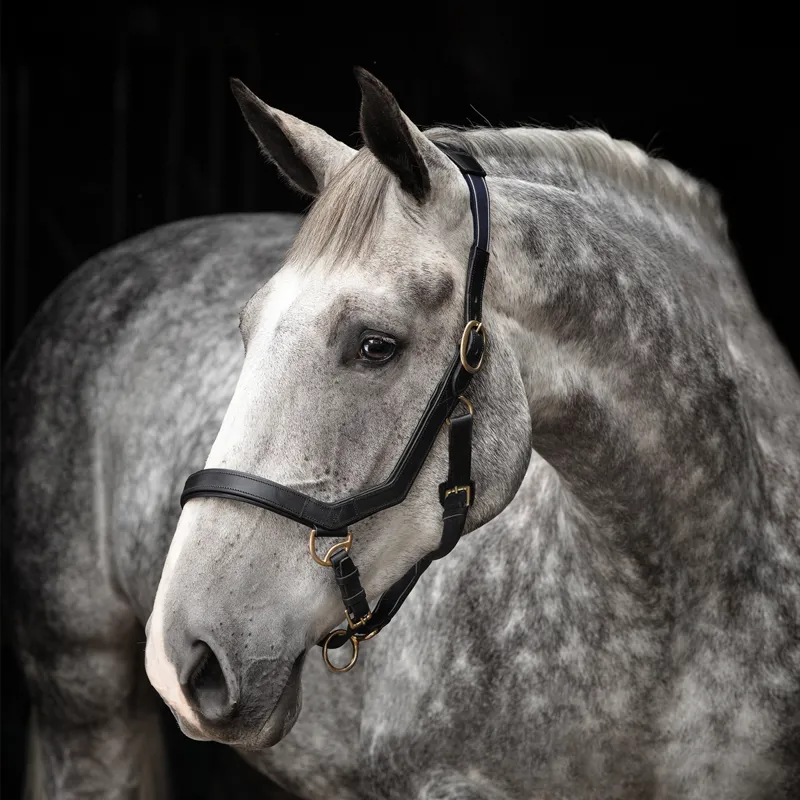 Horseware Rambo Micklem Headcollar - Black