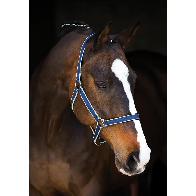 Horseware Amigo Headcollar - Navy/Silver