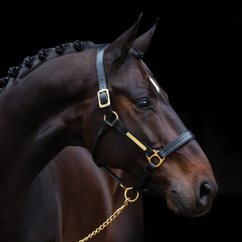 Horseware Amigo Leather Headcollar - Black