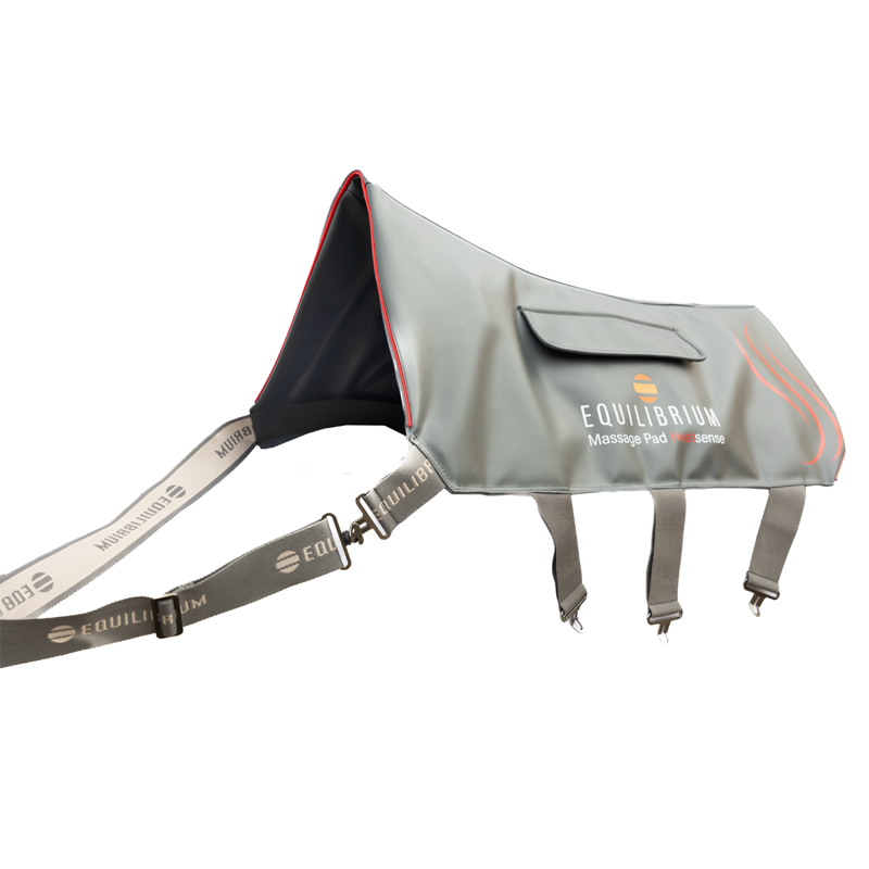 Equilibrium Massage Pad Heatsense - Small-1