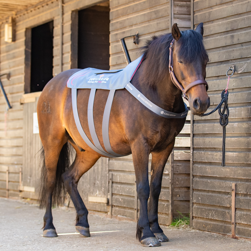 Equilibrium Massage Pad Heatsense - Small-9